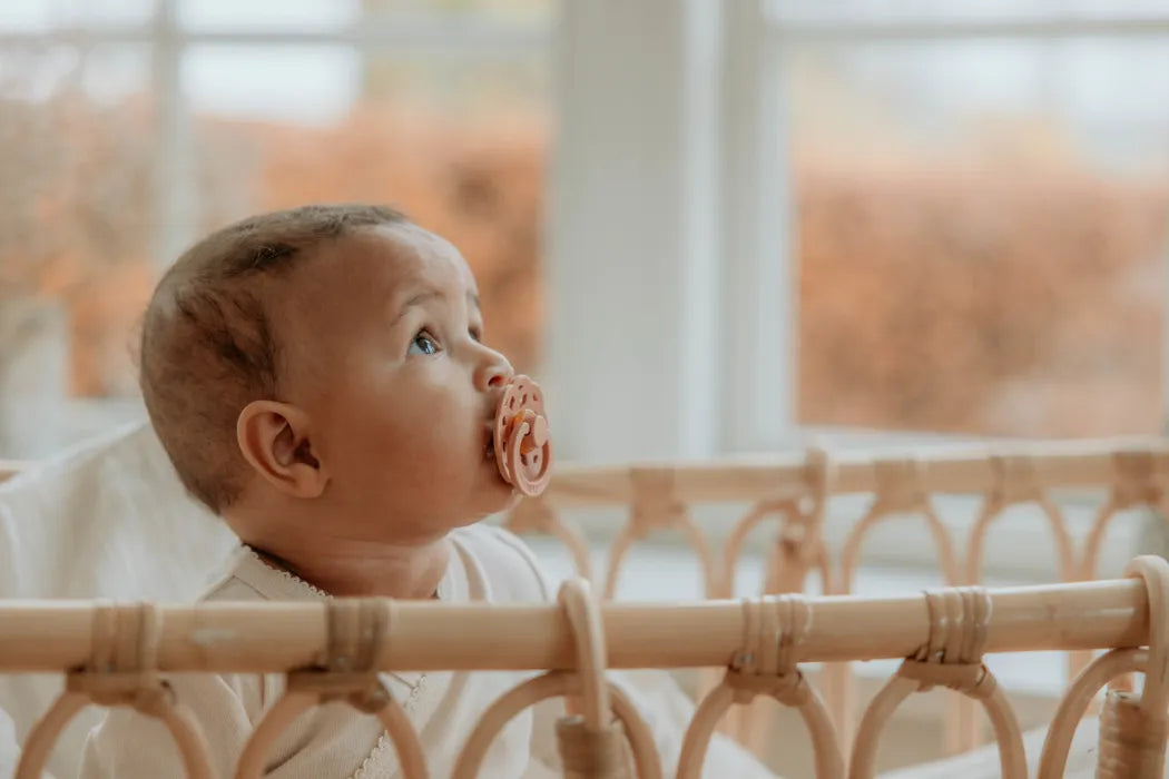A baby with a BIBS Boheme dummy