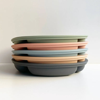 Silicone Bowl Set - Wild Indiana
