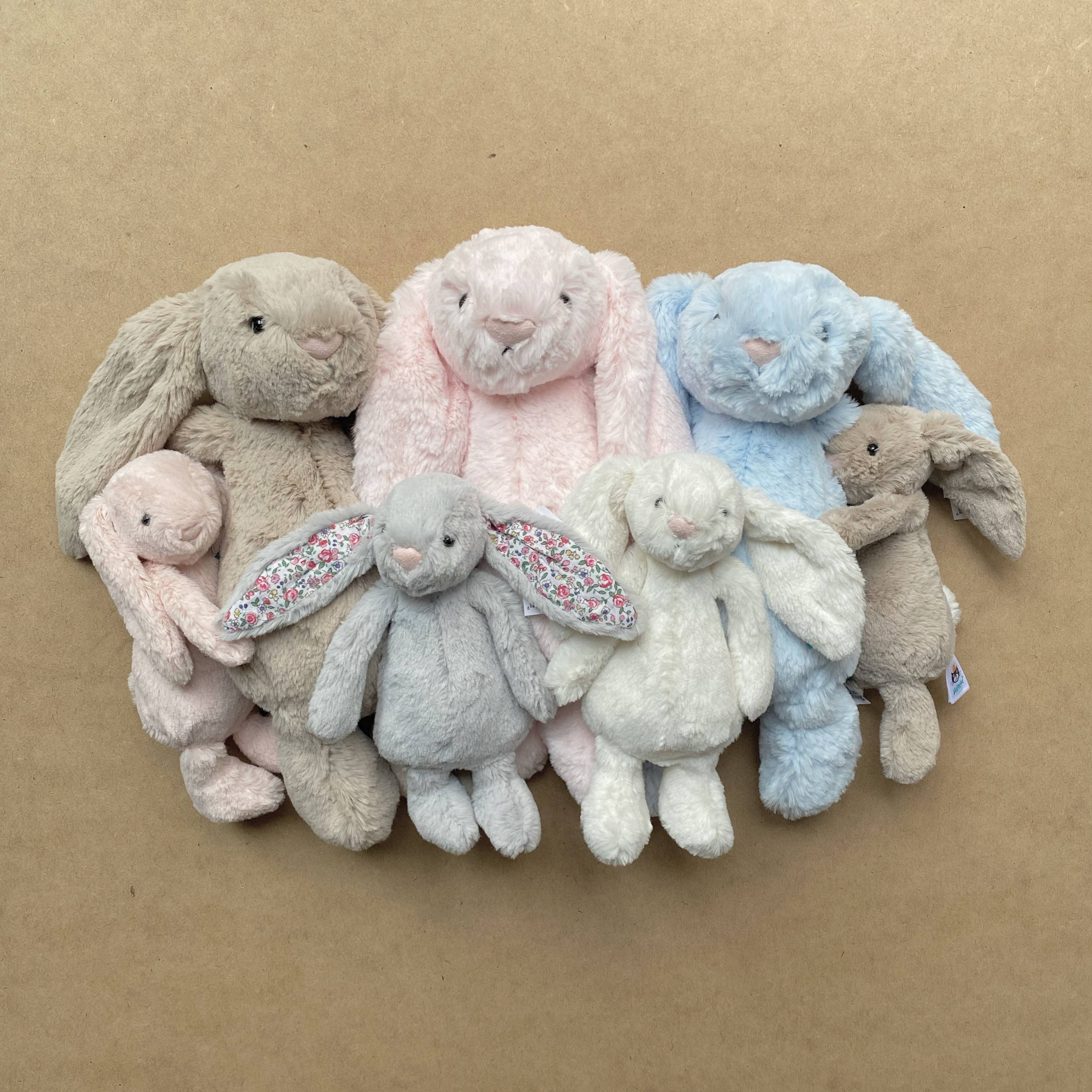 Jellycat Bashful Bunny, Bashful Toffee Puppy and Books